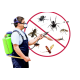 Pest Control Services